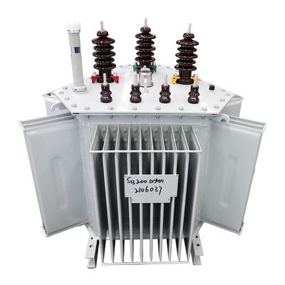Transformador de potencia de 300 kv de 3 fases 11kv/0,4kv lleno de aceite de 400kv con frecuencia de 50/60Hz